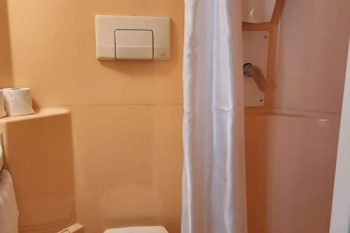 Ein Badezimmer mit Toilette, einem Wand-Spülknopf und einer Duschvorhang.