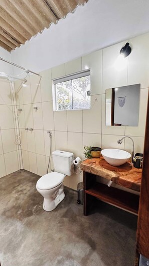 Ducha, toallas, papel higiénico