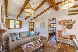 TV, fireplace, books