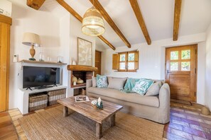 TV, fireplace, books