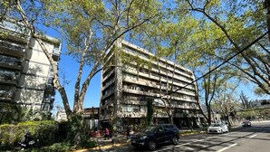 Un edifici de diverses plantes amb balcons, envoltat d'arbres i cotxes estacionats.