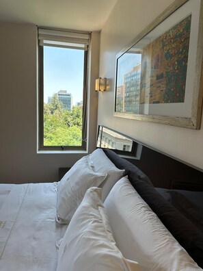 Standard Apartment (61 Excelente ubicación AC Metro)