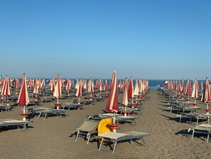 Chaises longues, serviettes de plage