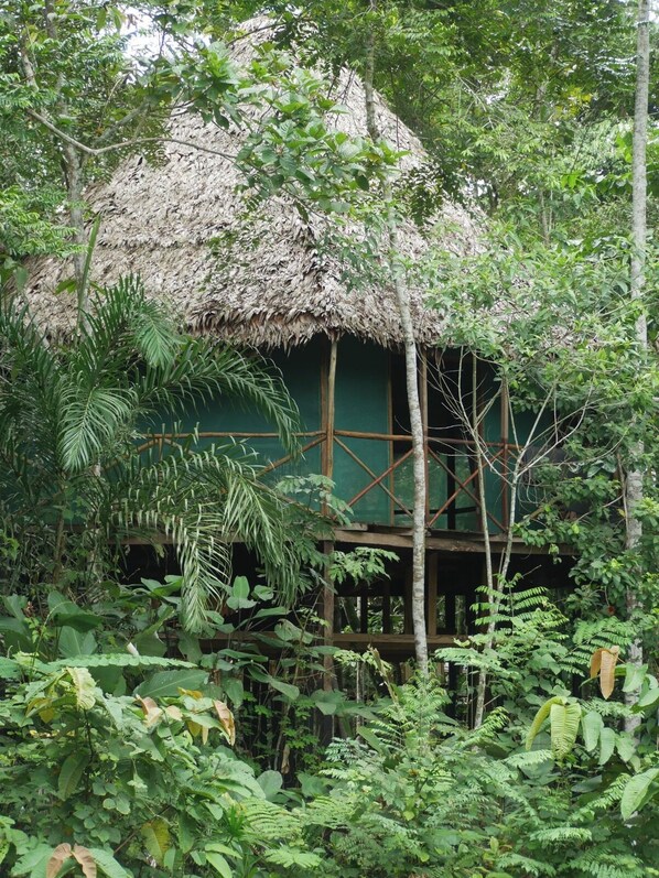 Une construction à toit de chaume, entourée d’une végétation tropicale luxuriante.