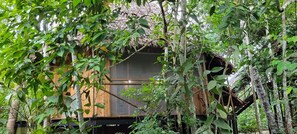 Une cabane en bois avec un toit de chaume, entourée d’une végétation luxuriante.
