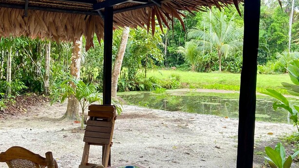 A wooden rocking chair and a table with a mug under a thatched roof structure, overlooking a pond and lush greenery. - Amaca Eco Station (San Juan Bautista)