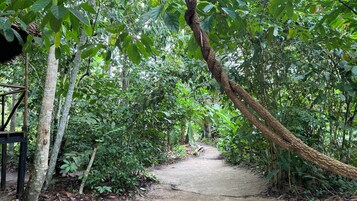 平房, 阳台, 庭院景观 | 露台