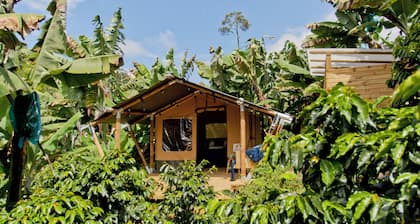 Glamping Jardín