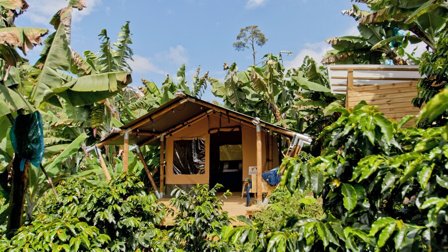 Glamping Jardín