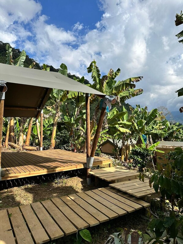 A wooden deck with a canopy, surrounded by banana trees and a clear sky. - Glamping Jardín (Jardín)