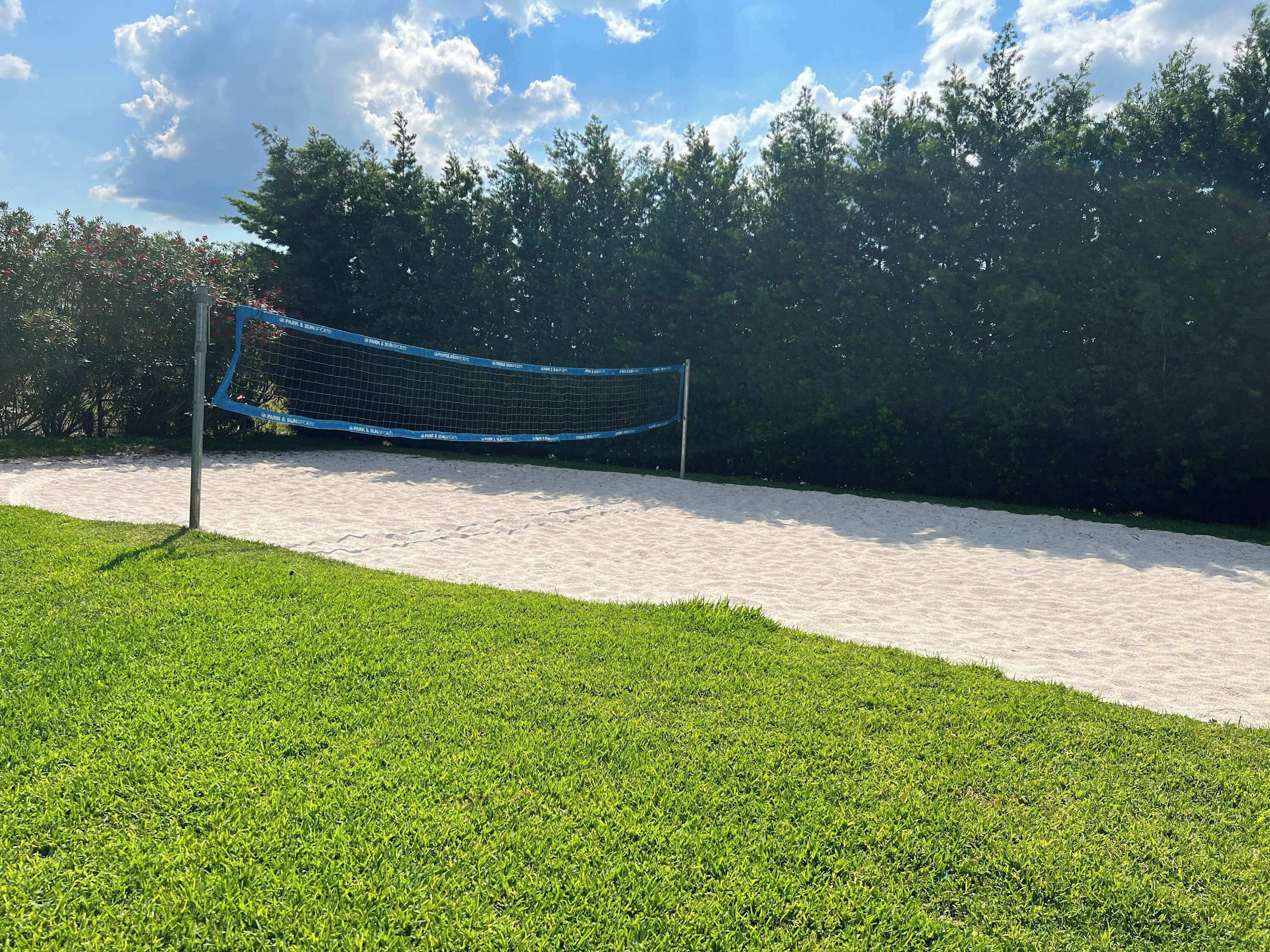 Un filet de volley-ball sur un terrain sablonneux, avec de l’herbe verte au premier plan et des arbres en arrière-plan.