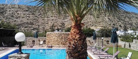 Zona de piscina con sillas de descanso y una palmera.