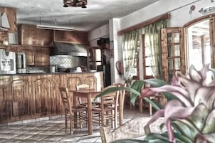 A kitchen with wooden cabinets, a dining area with chairs, and a large potted plant.