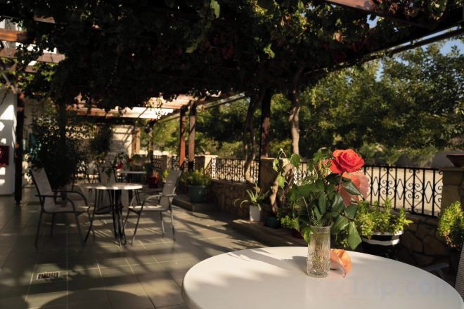 An outdoor patio with tables and chairs, surrounded by greenery and a pergola.