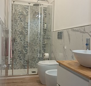 Regadera, secadora de cabello, bidet, toallas 