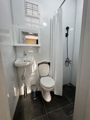 Chambre Standard, balcon, vue jardin | Salle de bain | Douche, sèche-cheveux, serviettes fournies, savon