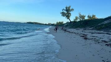 Aurinkotuoleja, rantapyyhkeitä