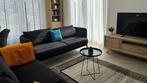 A modern living room with a black sofa, a coffee table, and a television on a wooden stand. - Vacation home Wiesenblick (Spangenberg)