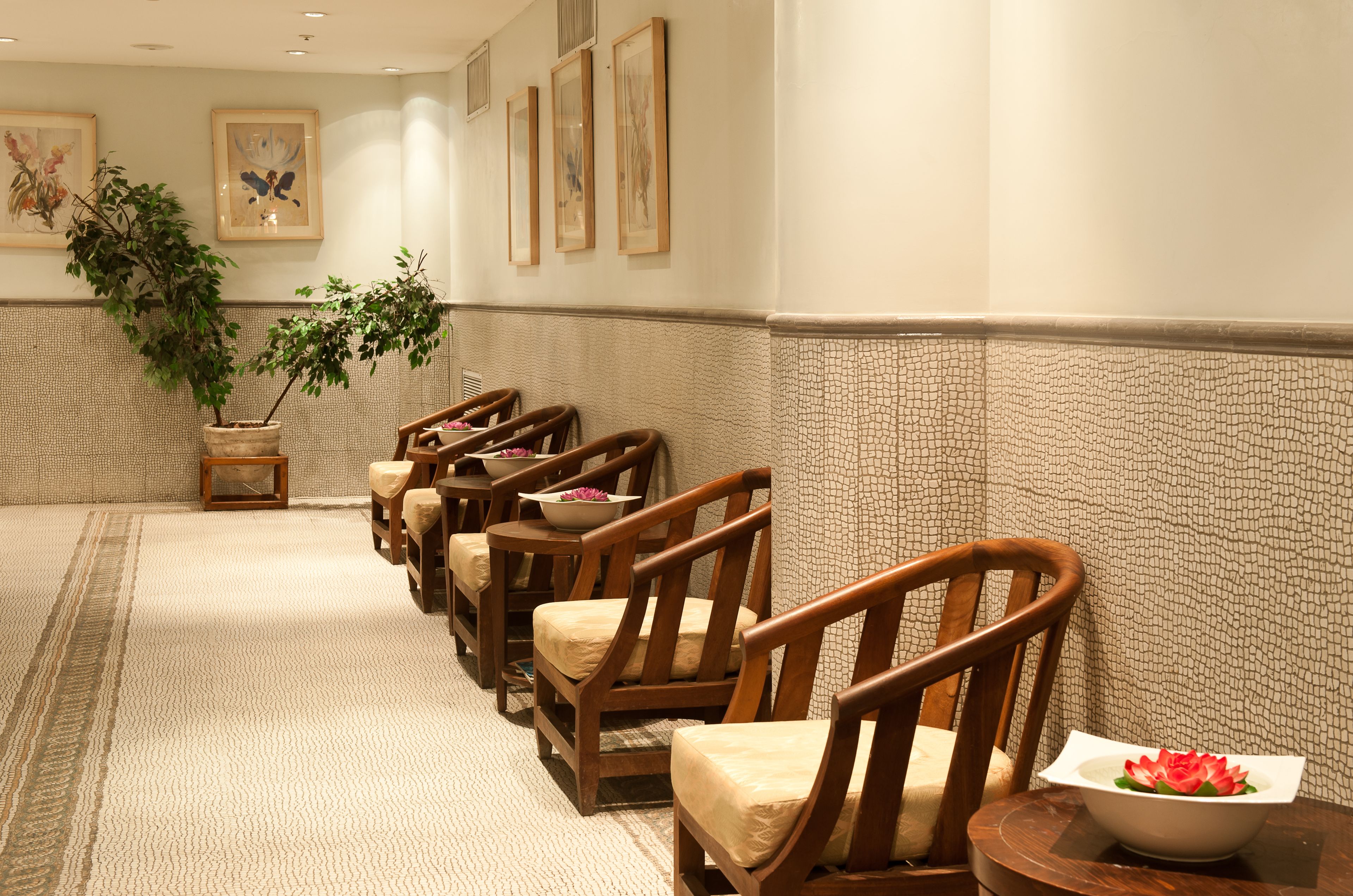 A row of wooden chairs with cushions, a potted plant, and a table with a bowl of flowers in a hotel lobby.