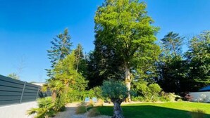 Une piscine avec un arbre au centre, entourée d’une pelouse bien entretenue et d’une clôture.