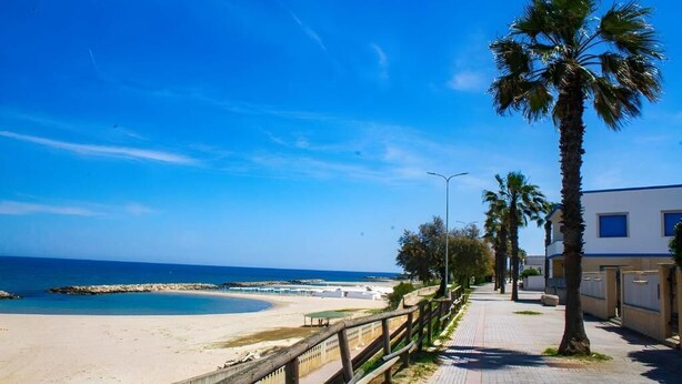 Een kustpad met palmbomen, een strand en een gebouw met een blauw raam.