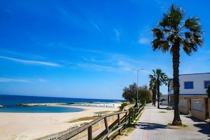 A coastal walkway with palm trees, a beach, and a building with a blue window.