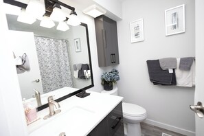 Hair dryer, towels, soap, toilet paper