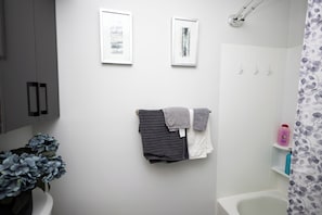 Hair dryer, towels, soap, toilet paper