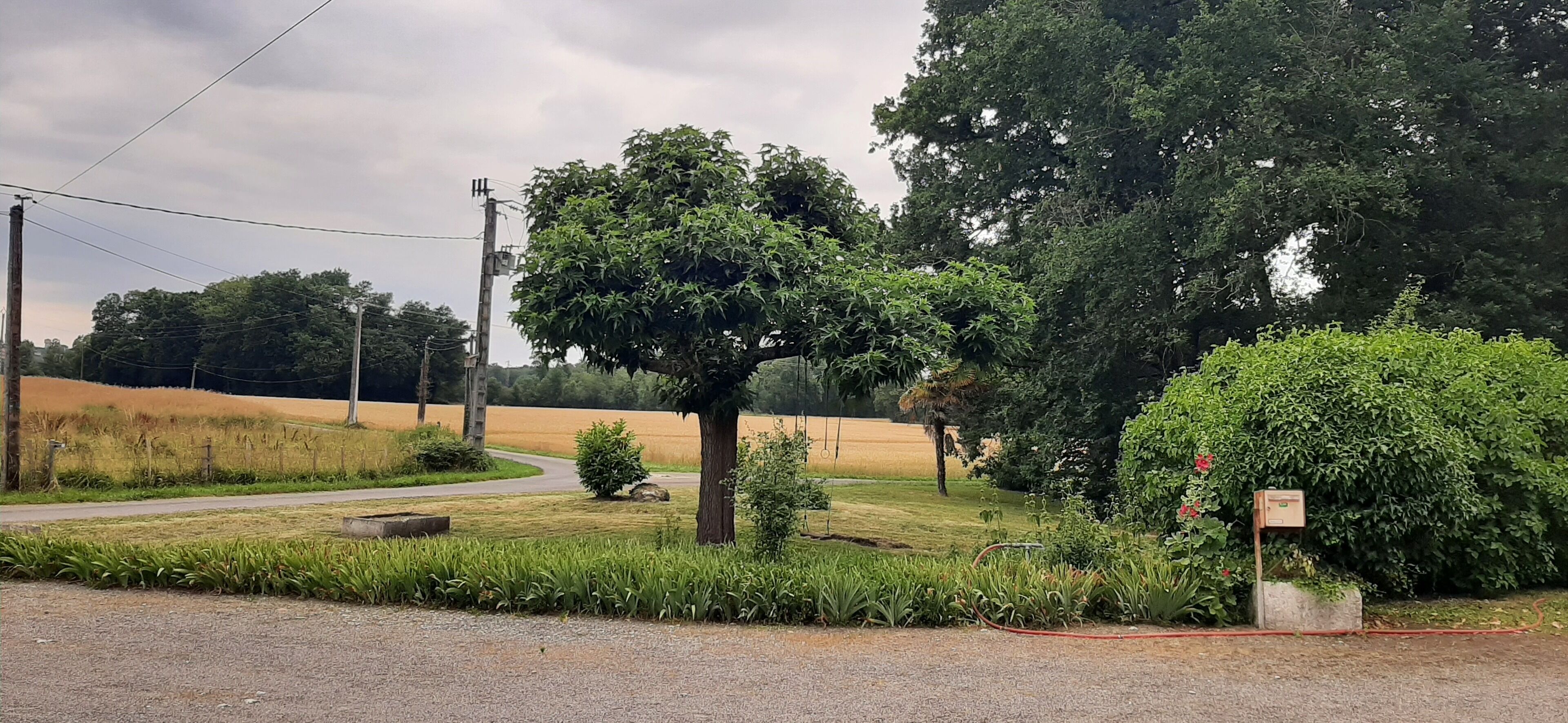 Diverse
