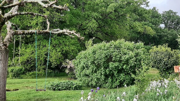Un jardin avec une balançoire, un feuillage dense et une boîte aux lettres.