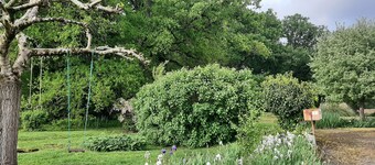 Vintage house in the country
