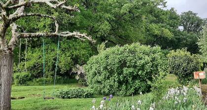 Vintage house in the country