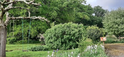Vintage house in the country