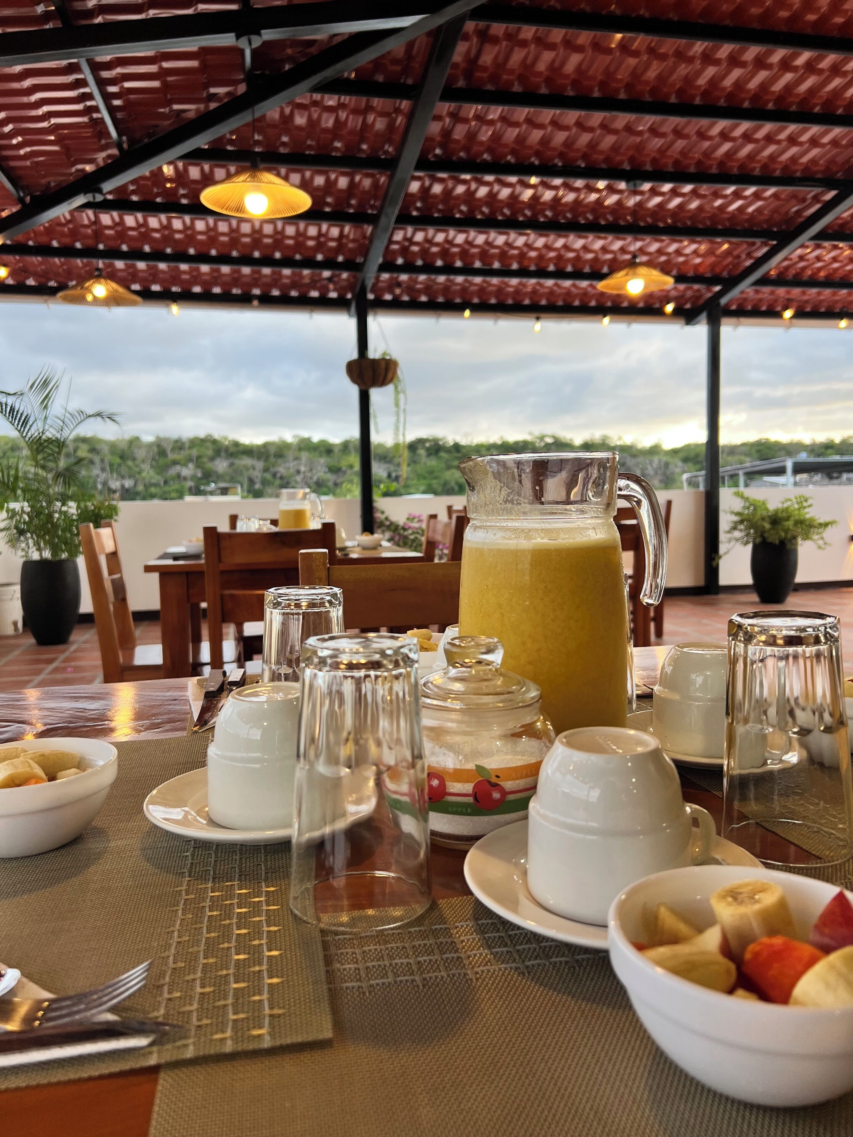 An outdoor dining area with a table set for breakfast, including a pitcher of juice, bowls of fruit, and various cups and glasses.