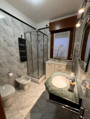 Shower, hair dryer, bidet, towels