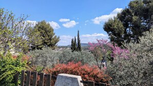 Un jardin agrémenté de divers arbres et arbustes, une clôture en bois et un banc en pierre.