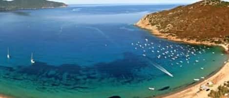 Pesca
