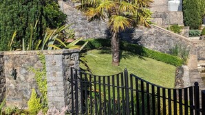 A stone house with a stone staircase, a palm tree, and a black metal fence. - Spacious house, high in the hills, stunning views, on-site indoor pool, bar, gym (Keswick)