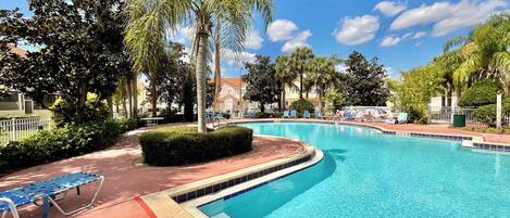 Una piscina de borde curvo, rodeada de palmeras y sillas de descanso.
