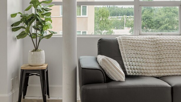Oppholdsområde