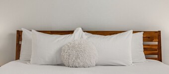 Salted Roots Basecamp: Downtown 2 Bed 2 Bath Loft