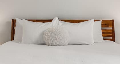 Salted Roots Basecamp: Downtown 2 Bed 2 Bath Loft