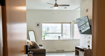 1 Bedroom Flat Downtown
