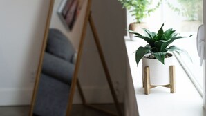 A room with a standing mirror leaning against a wall, a small potted plant on a windowsill, and a gray sofa. - Salted Roots Basecamp: 1 Bedroom Flat Downtown (Anchorage)