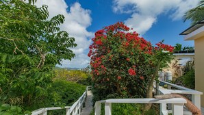 A pathway leading to a building with a white railing, surrounded by lush greenery and a large flowering tree. - Caribbean Escape - Sunset Palms! (Christiansted)