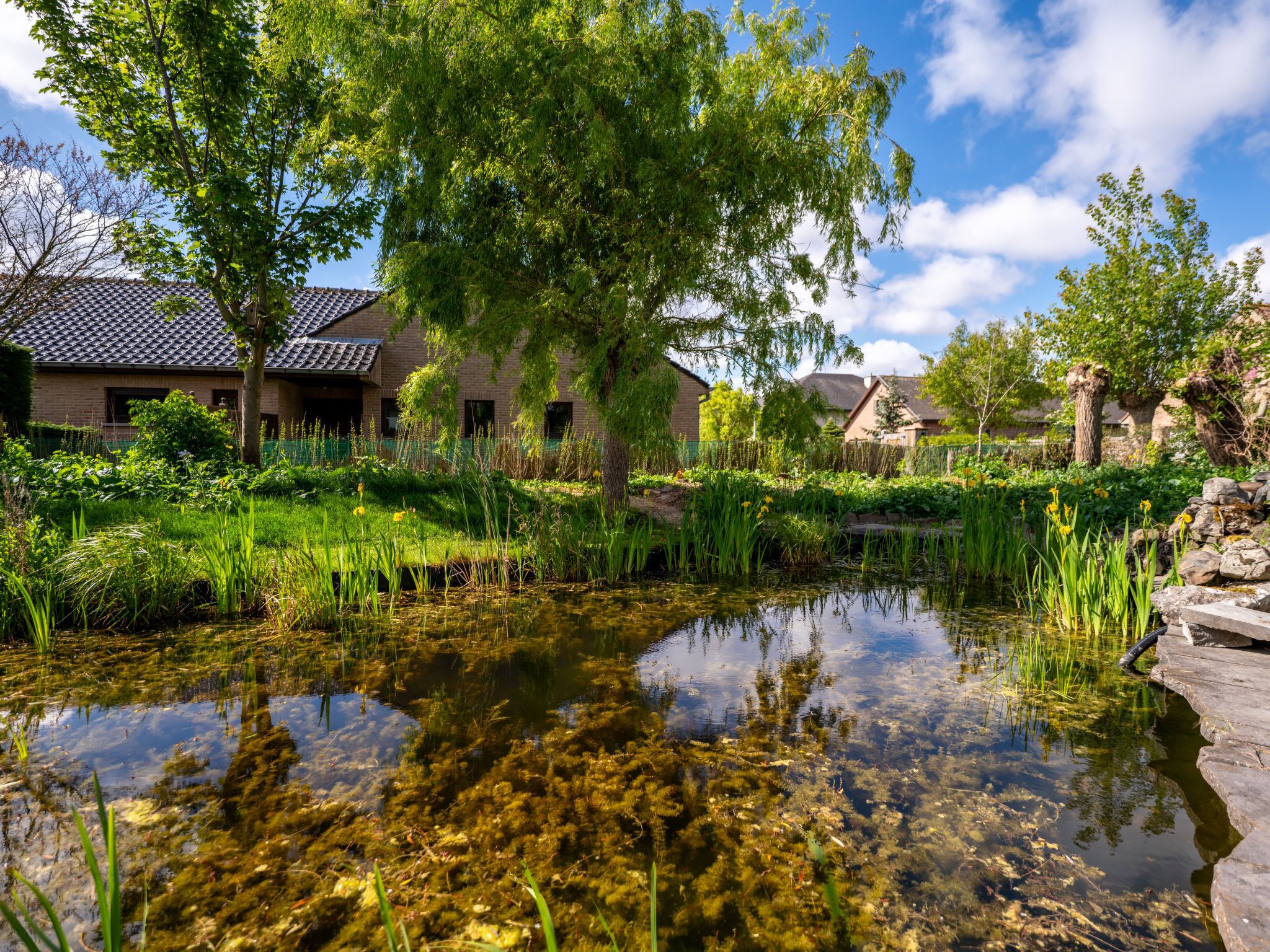 Terrein van de accommodatie