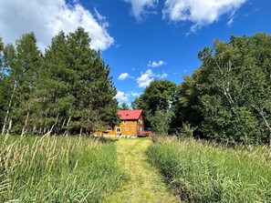 Property grounds - Extra-large 4,000 sq ft woodland retreat with authentic Wood-fired Sauna (Coe Hill)