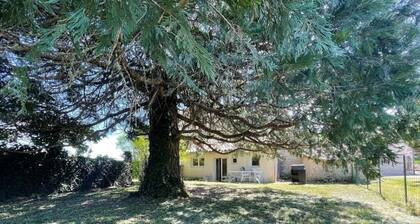 LCD#06- Gîtes du Cantou-Lot 46