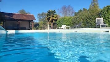 Piscina cristalina com espreguiçadeiras e uma palmeira ao fundo.