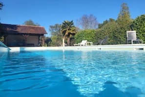 A clear swimming pool with lounge chairs and a palm tree in the background.